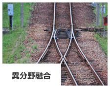 異分野融合