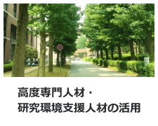 高度専門人材・研究環境支援人材の活用